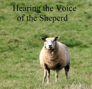 Hearing the Shepherd