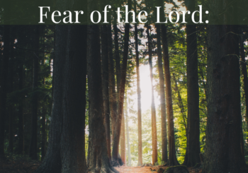 Fear of the Lord: The Path to Perfect Love