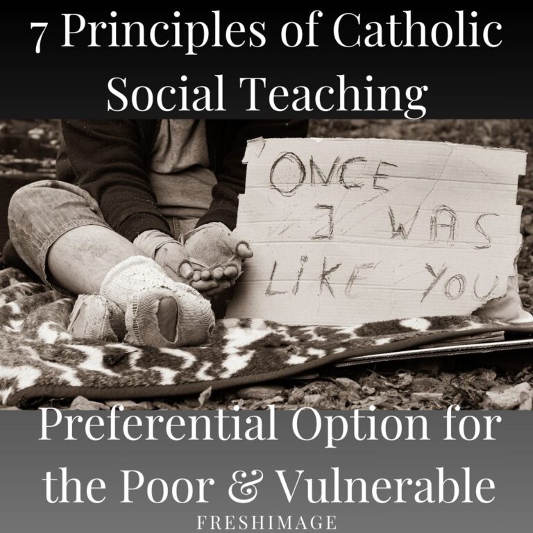 7 Principle Of Catholic Social Teaching: 4-Preferential Option For The ...